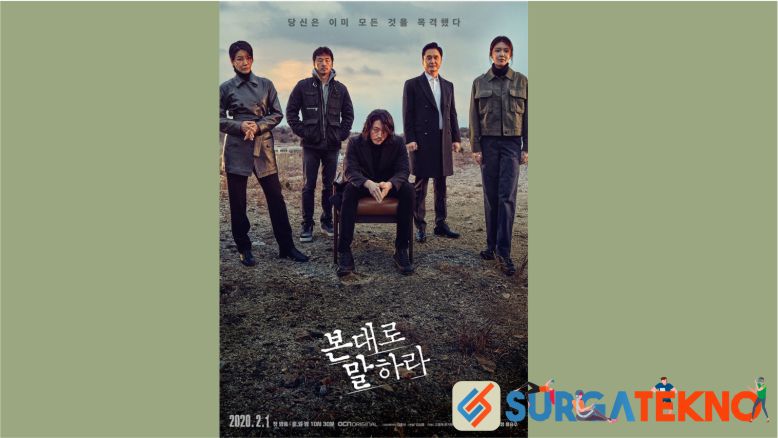 Sinopsis Drama Korea Tell Me What You Saw (2020)