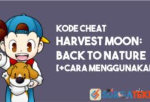 Kode Cheat Harvest Moon Back to Nature