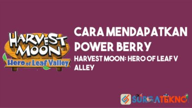 Cara Mendapatkan Power Berry Harvest Moon Hero Of Leaf Valley