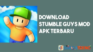 Download Stumble Guys MOD APK