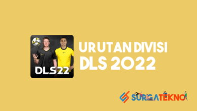 Urutan Divisi DLS 2022
