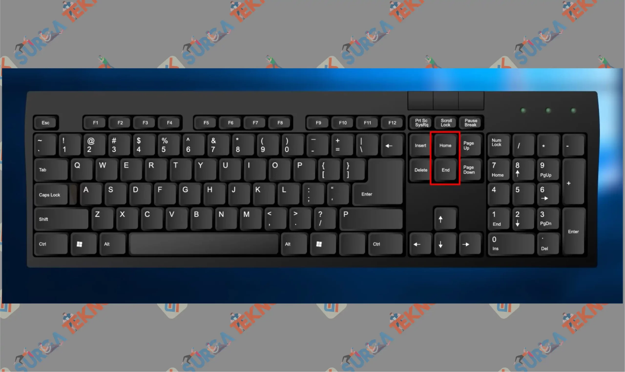 3 Gunakan Home End - Cara Scroll di PC dan Laptop dengan Keyboard
