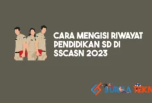 Cara Mengisi Riwayat Pendidikan SD di SSCASN 2023