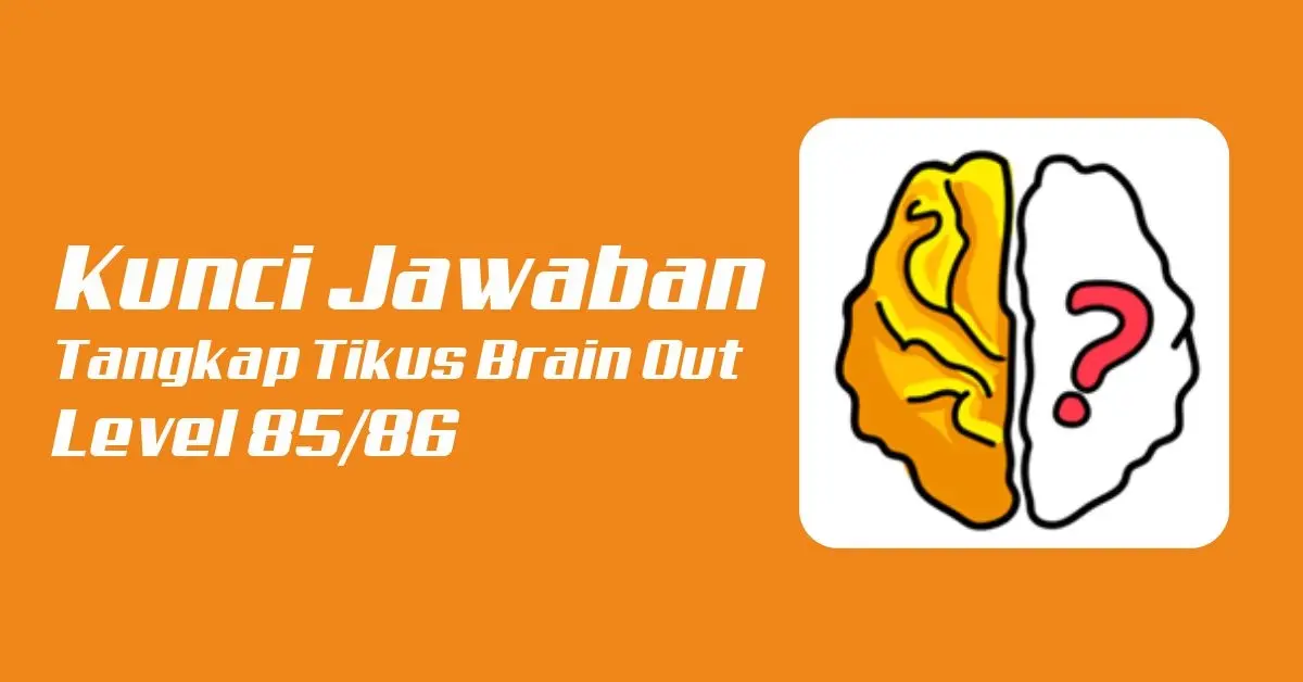 Kunci Jawaban Cara Tangkap Tikus Brain Out