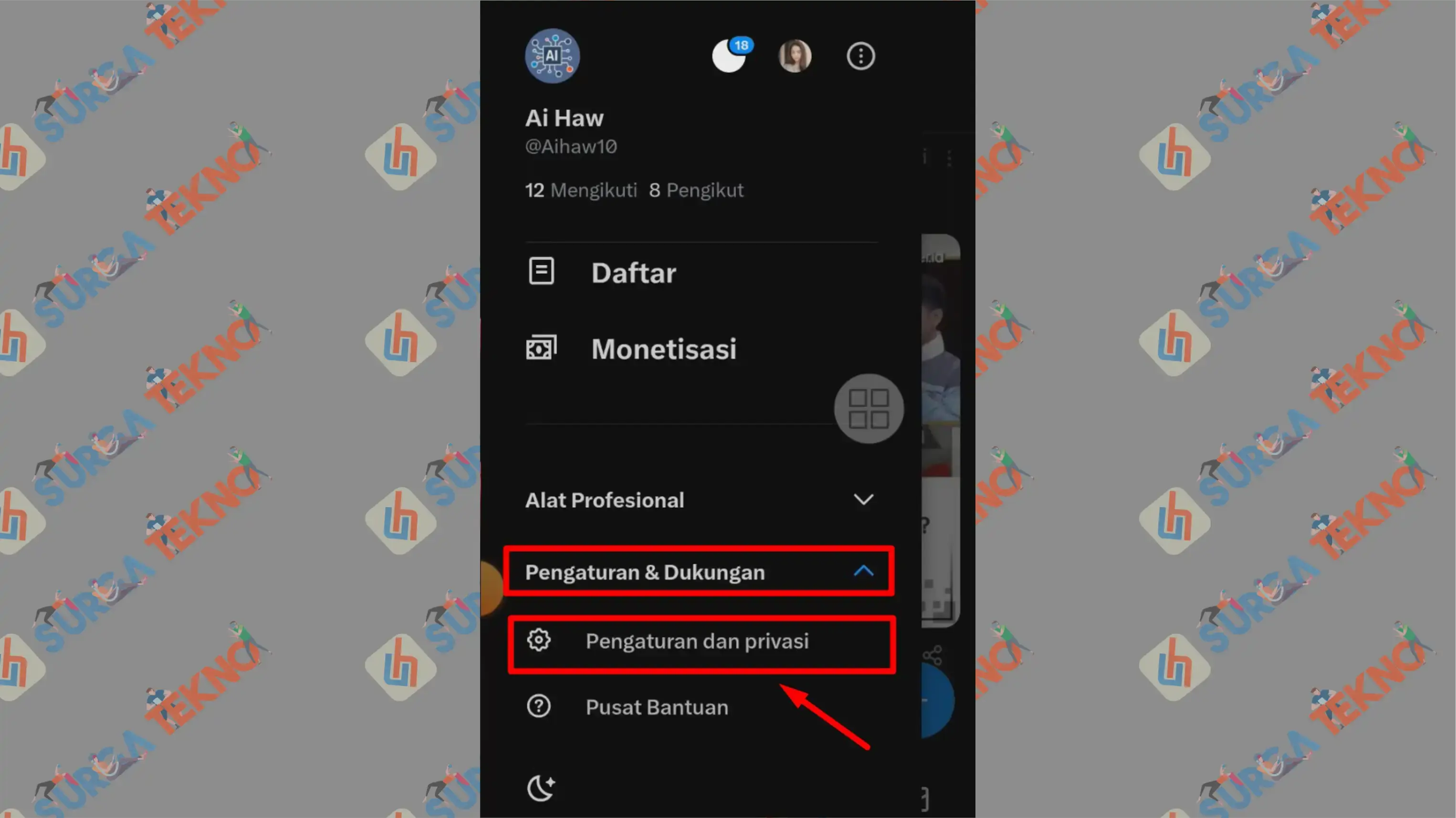 2 Pengaturan Privasi - Cara Melihat Konten Sensitif di X (Twitter)