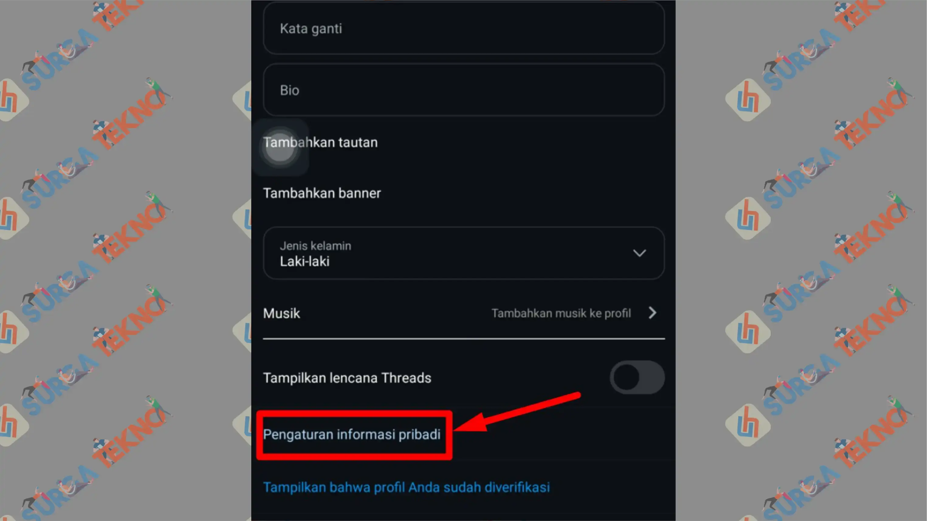 2 Pengaturan Informasi Pribadi - Cara Memindahkan Arsip Instagram Ke Google Drive