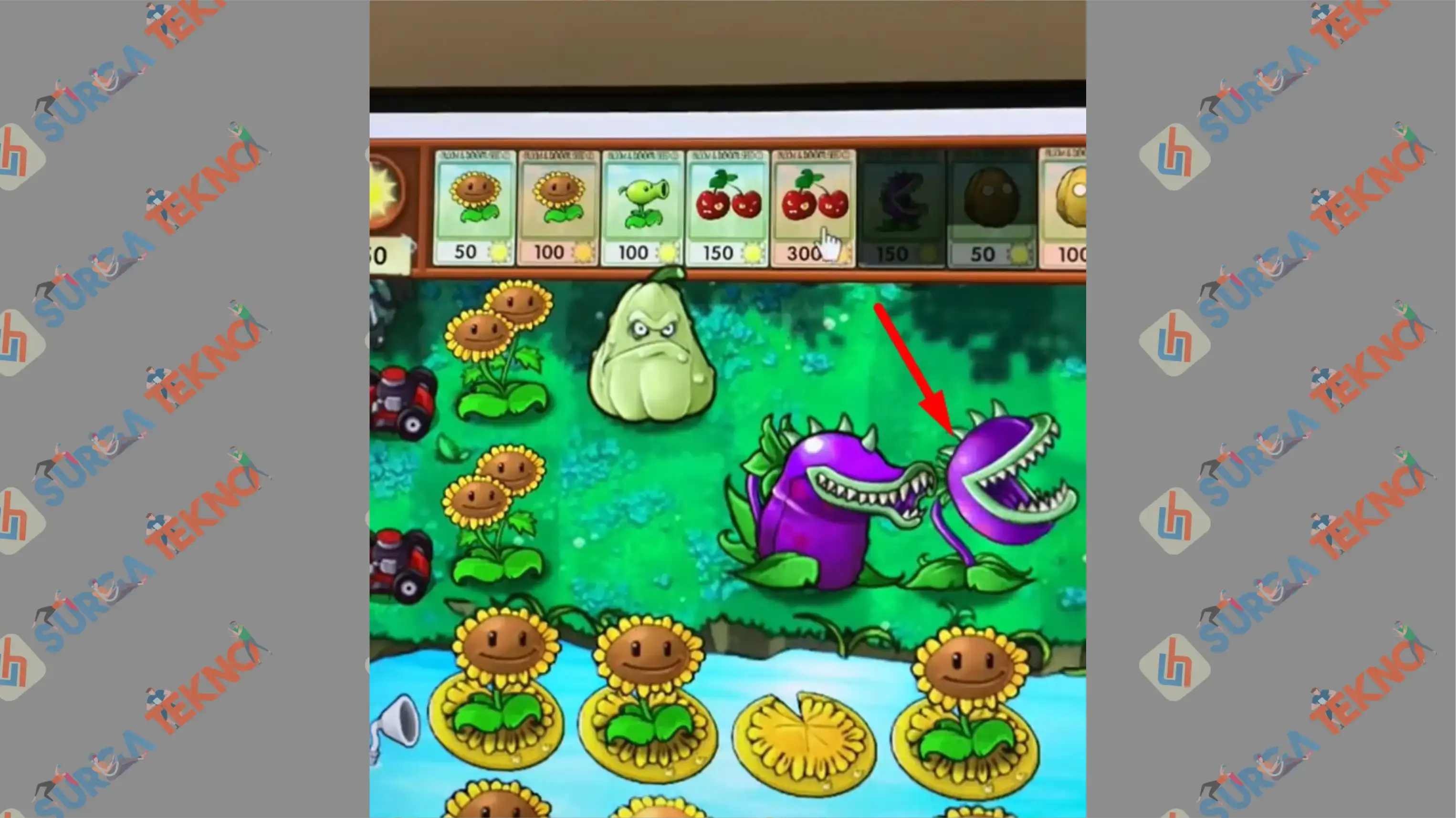 4 Letakkan Chomper Lagi - Cara Membuat King Godzilla di Plants vs Zombie Fusion