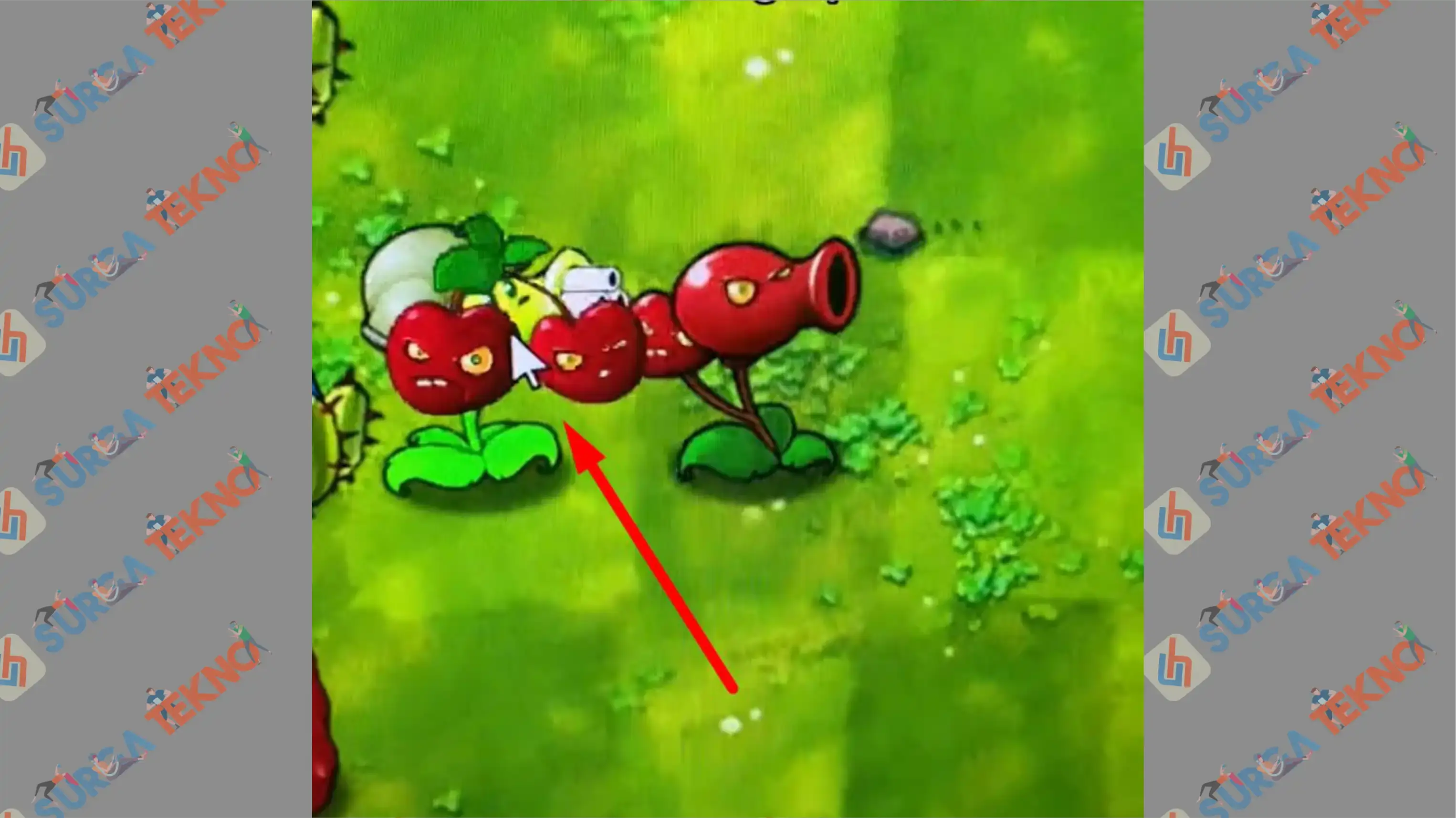 5 Letakkan Cherry di Kipli Lv 4 - Cara Membuat Gatling Cherry Bom di Plants vs Zombie Fusion